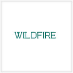 Lisa Jones Music - Wildfire